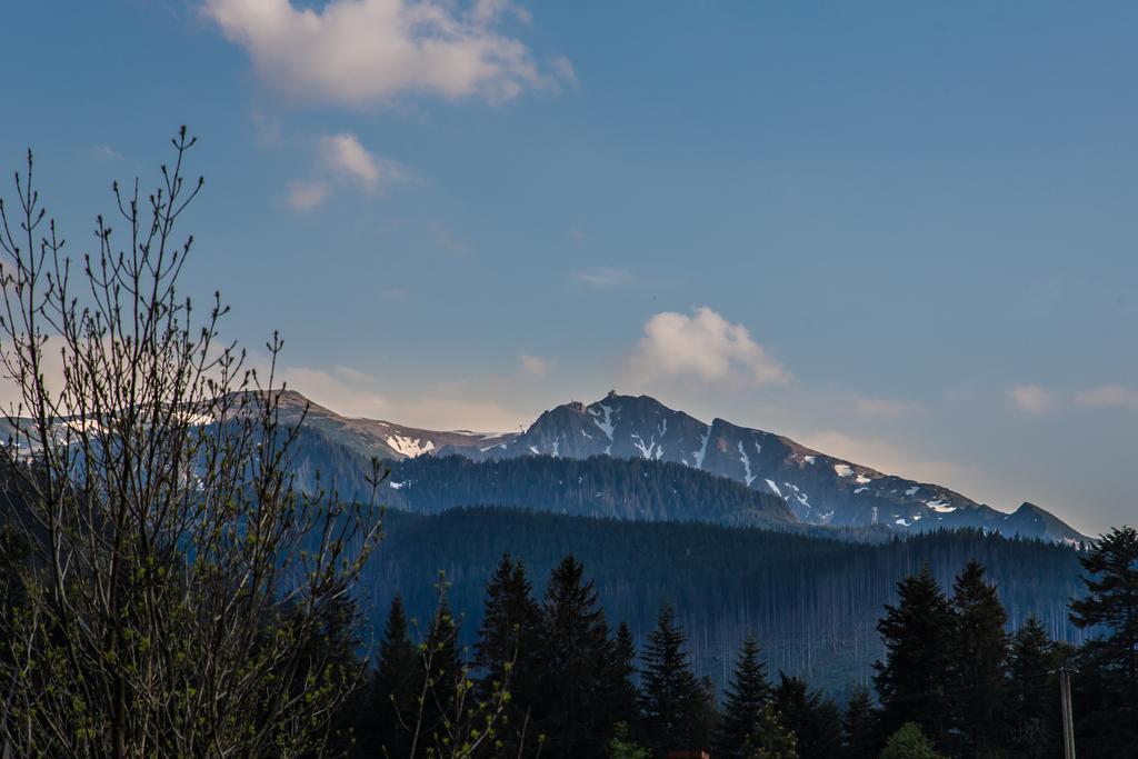 Willa Stachoniowka 2 Zakopane Exterior photo